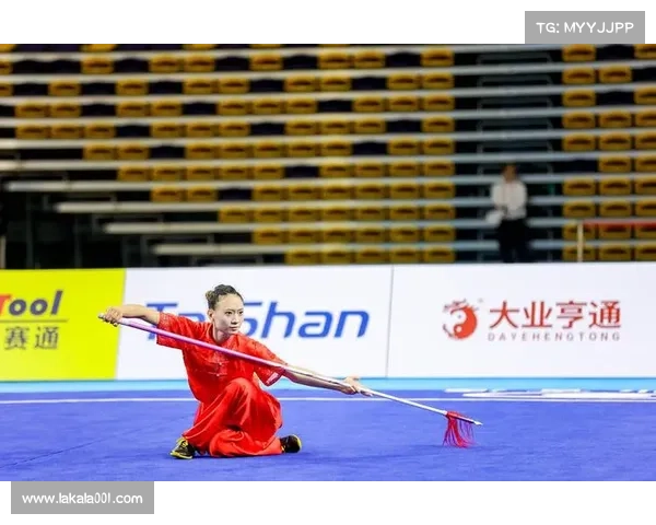 武术赛事现状—武术赛事当前态势深度剖析与发展前景展望